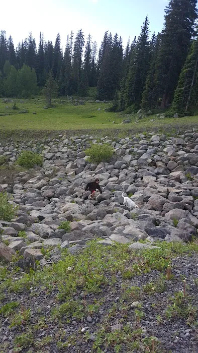 Big Creek Campground Picture 2
