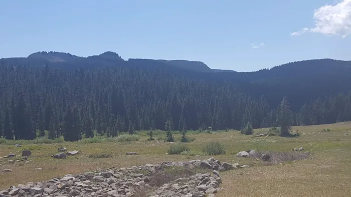 Big Creek Campground Picture 8