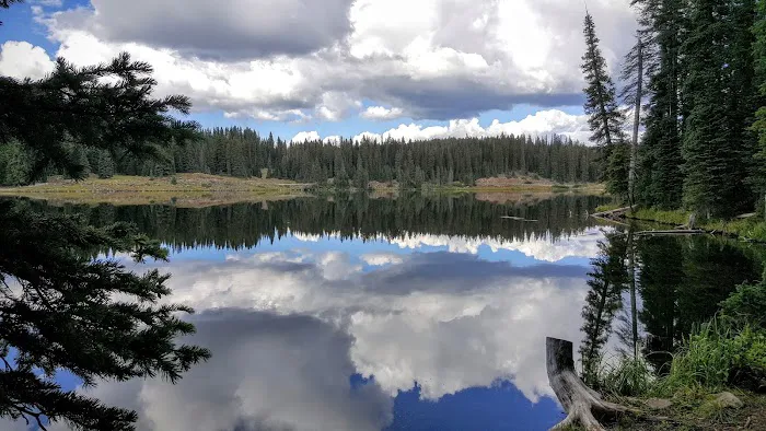 Big Creek Campground Picture 5