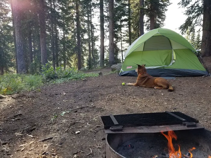 Crag Crest Campground - Grand Valley RD Picture 9