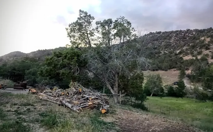 Keop Co-op Picture 3