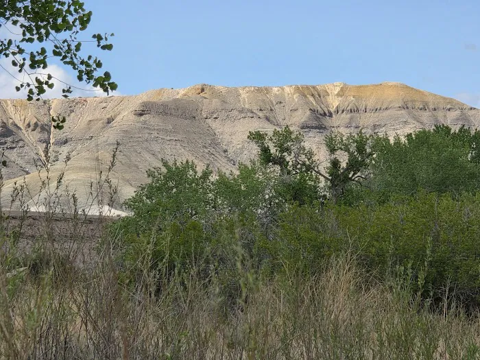 Cottonwood Grove Campground Picture 2