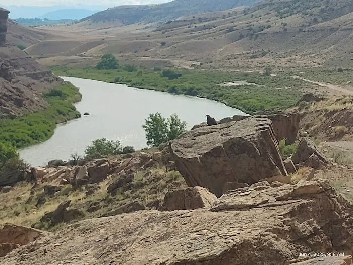 Cottonwood Grove Campground Picture 8
