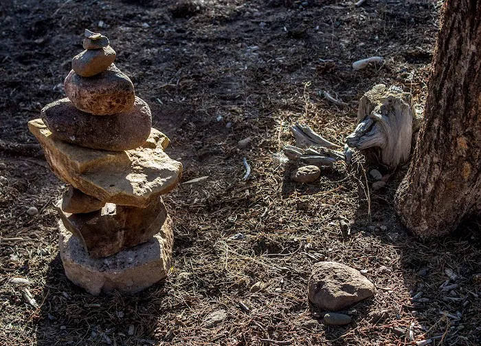 North Rim Campground Picture 6