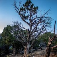 North Rim Campground ico