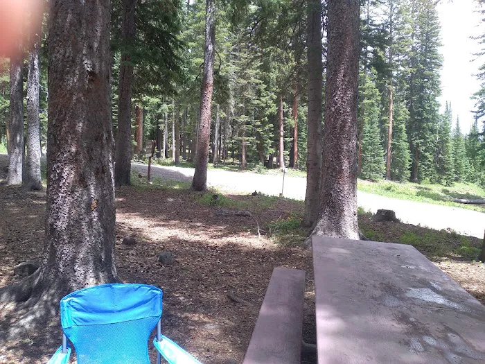 Ward Lake Campground - Grand Valley RD Picture 5