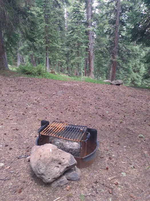 Ward Lake Campground - Grand Valley RD Picture 4