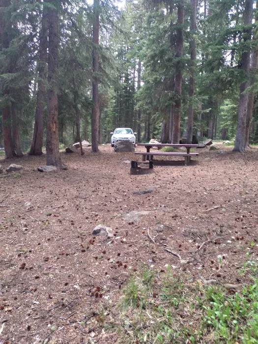 Ward Lake Campground - Grand Valley RD Picture 6