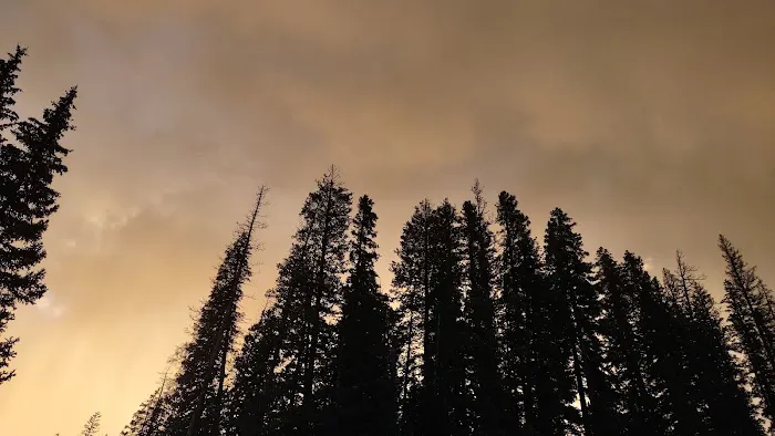 Cobbett Campground Picture 2