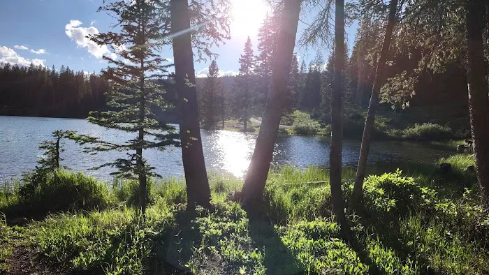 Cobbett Campground Picture 5