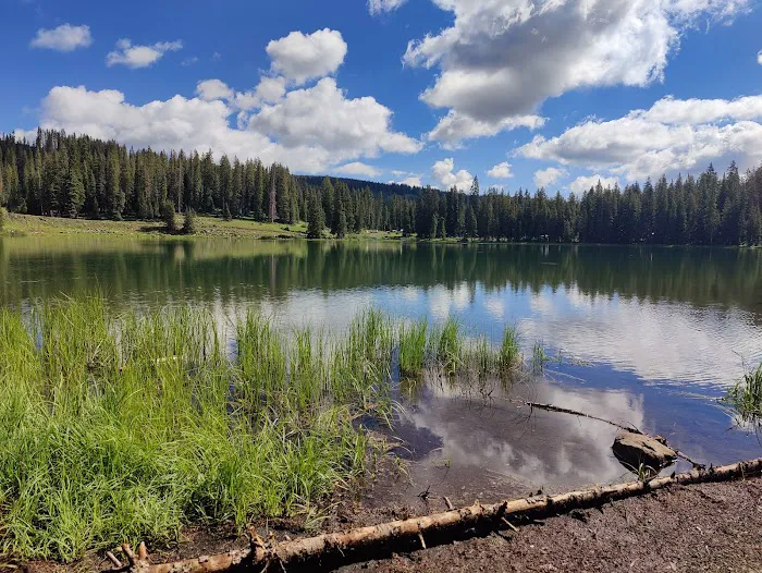 Cobbett Campground Picture 10