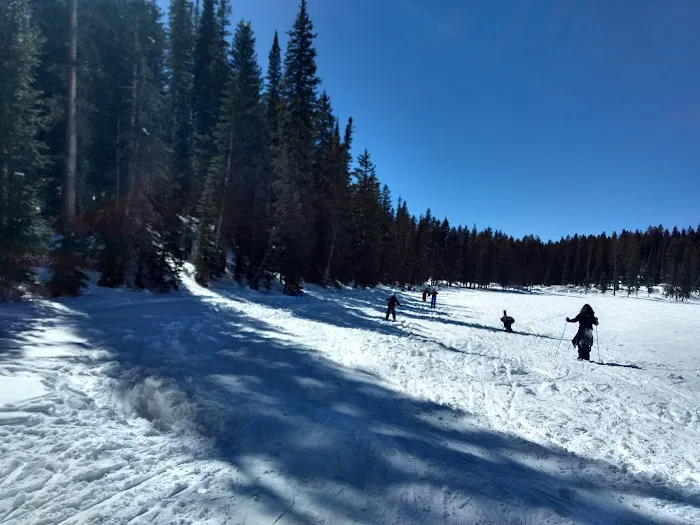 Cobbett Campground Picture 4