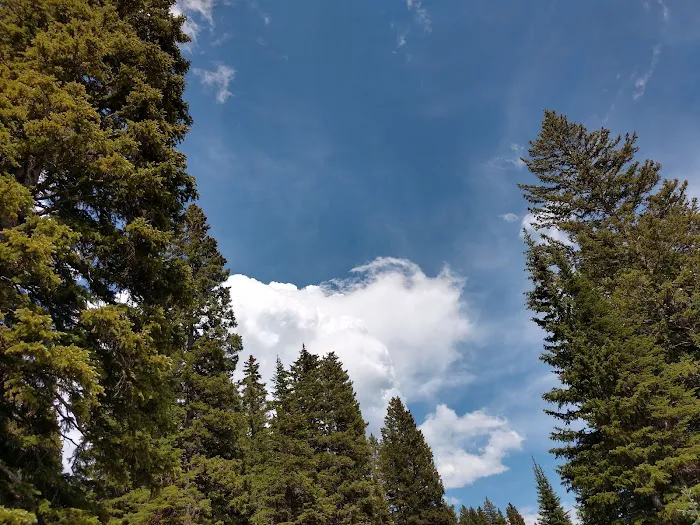 Ward Lake Campground Picture 7