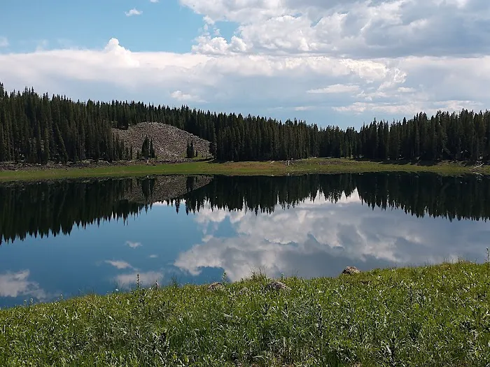 Ward Lake Campground Picture 6