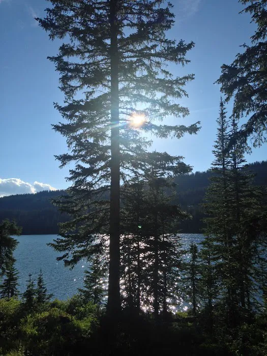 Little Bear Campground Picture 7