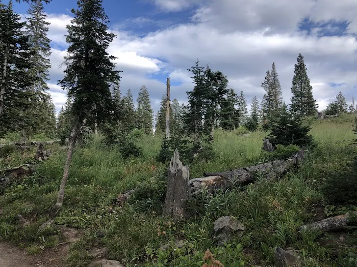 Little Bear Campground Picture 2