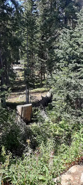 Island Lake Campground Picture 1
