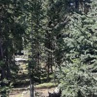 Island Lake Campground ico