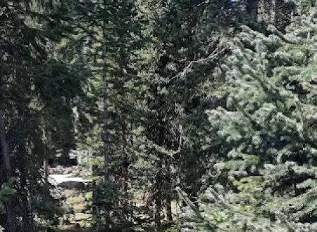 Island Lake Campground