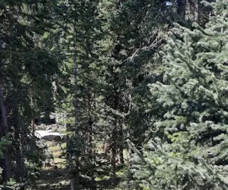 Island Lake Campground