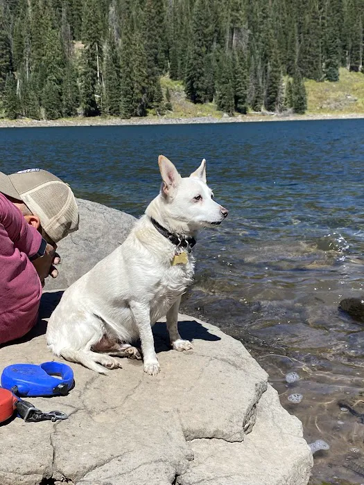 Island Lake Campground Picture 6