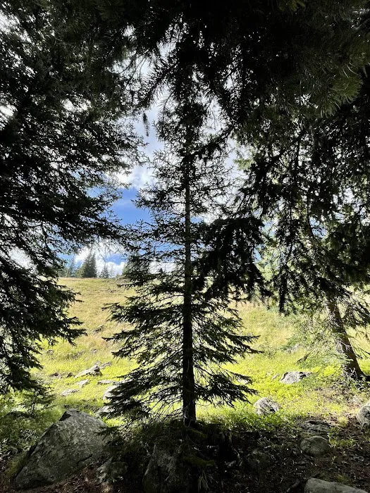 Island Lake Campground Picture 9