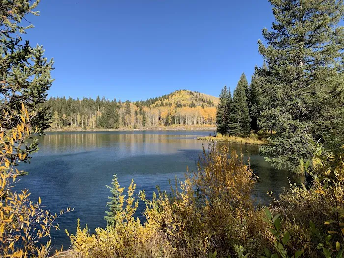 Jumbo Campground Picture 2