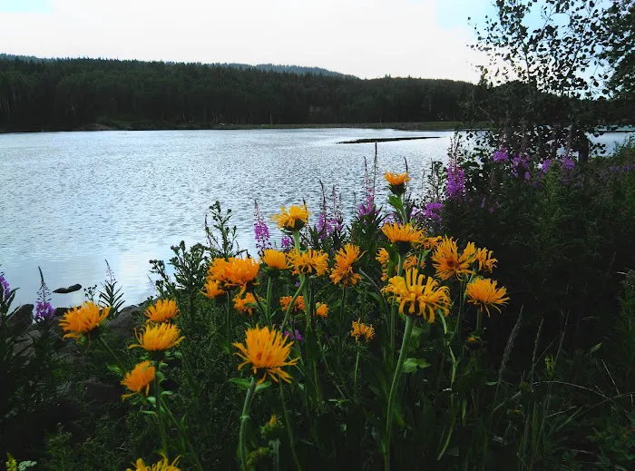 Jumbo Campground Picture 10