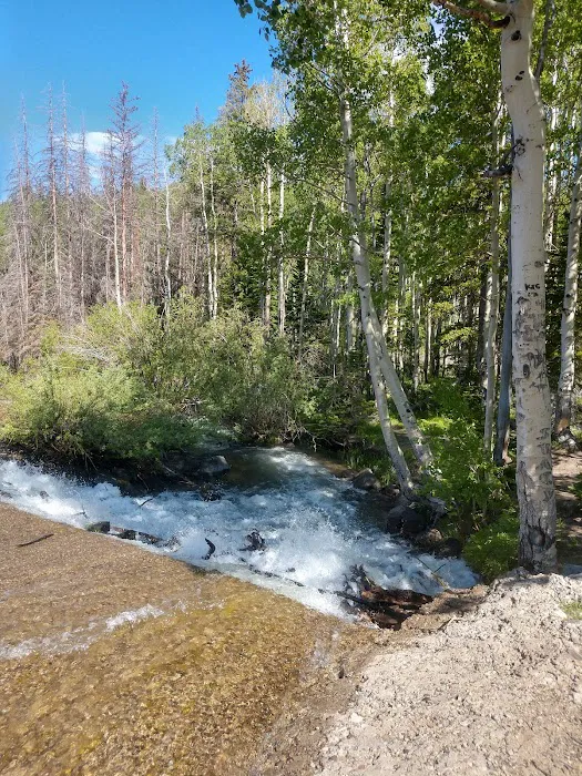 Jumbo Campground Picture 9