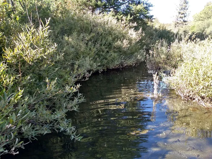Hunting Creek Camp Picture 9