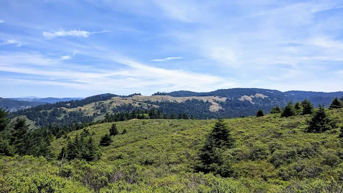 Pomo Canyon Trail Picture 1