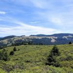 Pomo Canyon Trail