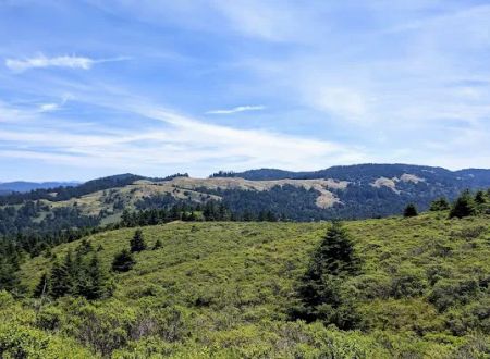 Pomo Canyon Trail