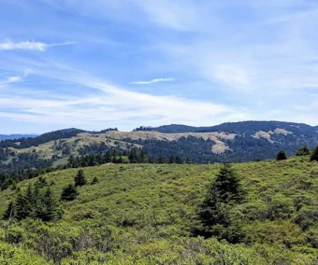 Pomo Canyon Trail