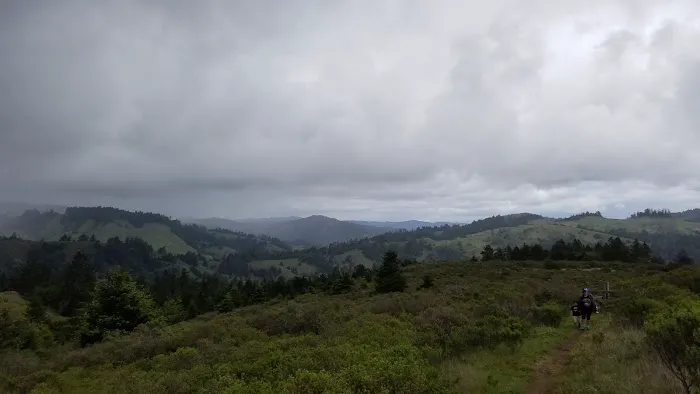 Pomo Canyon Trail Picture 10