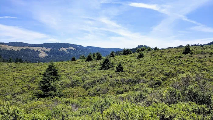 Pomo Canyon Trail Picture 8