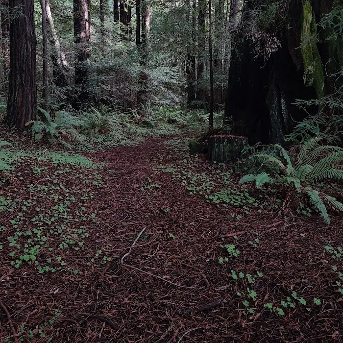 Willow Creek Environmental Campground Picture 10