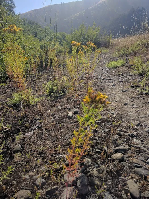 Willow Creek Environmental Campground Picture 5
