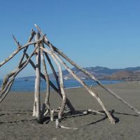 Wright's Beach Campground ico