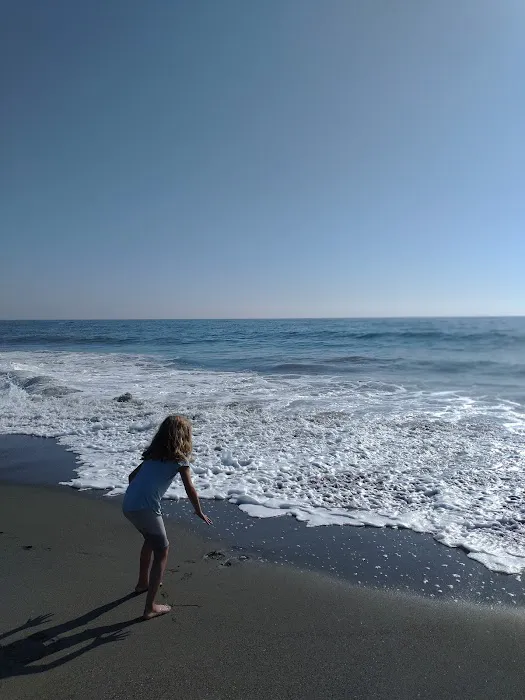 Wright's Beach Campground Picture 6