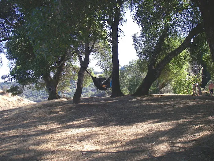 Homestead Picture 2