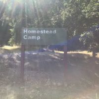 Homestead ico