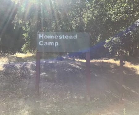 Homestead