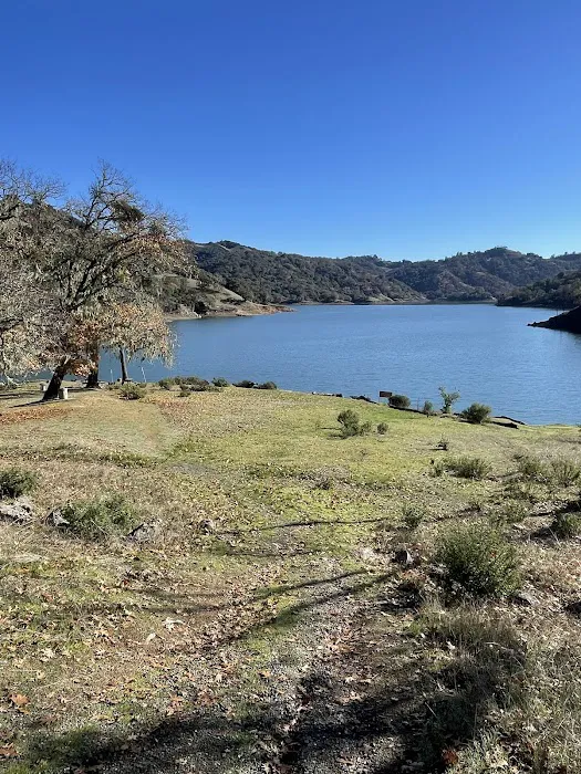 Madrone Point Picture 1