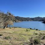 Madrone Point