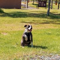 Rancho Seco Campground ico