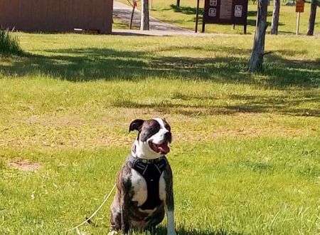 Rancho Seco Campground