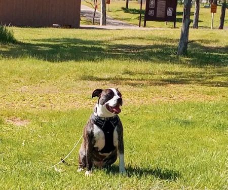Rancho Seco Campground