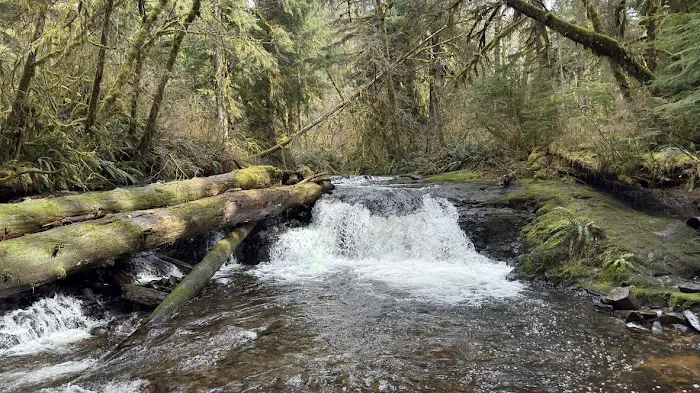 Gnat Creek Campground Picture 2