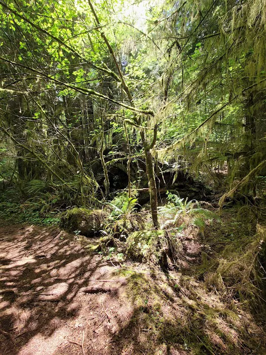 Gnat Creek Campground Picture 7